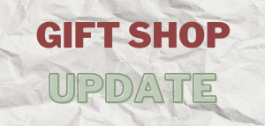 Read more about the article 